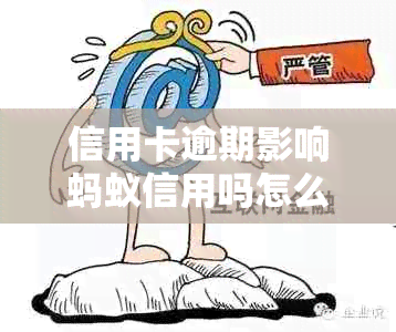 信用卡逾期影响蚂蚁信用吗怎么办？逾期后信用卡还能用吗？