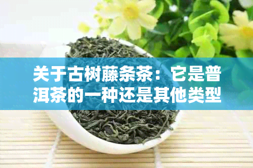 关于古树藤条茶：它是普洱茶的一种还是其他类型的茶？解答所有疑问