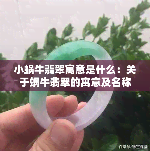 小蜗牛翡翠寓意是什么：关于蜗牛翡翠的寓意及名称，以及小蜗牛吊坠的意义。