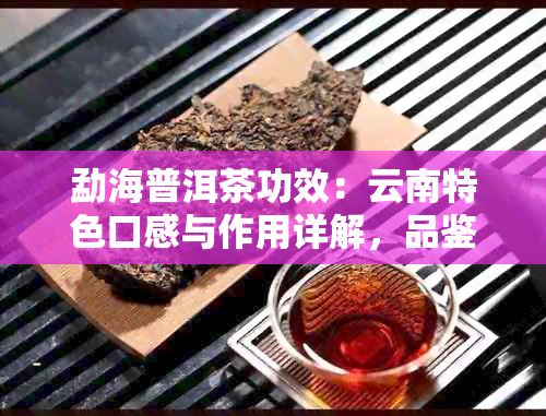 勐海普洱茶功效：云南特色口感与作用详解，品鉴评价