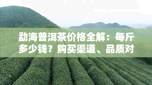 勐海普洱茶价格全解：每斤多少钱？购买渠道、品质对比及最新市场行情分析