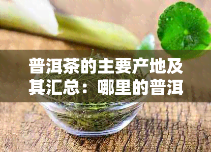 普洱茶的主要产地及其汇总：哪里的普洱茶？