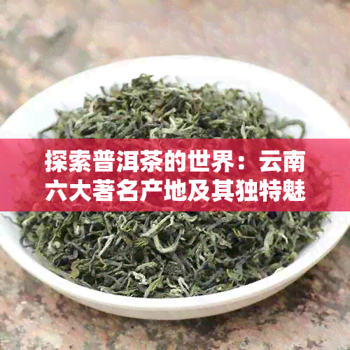 探索普洱茶的世界：云南六大著名产地及其独特魅力