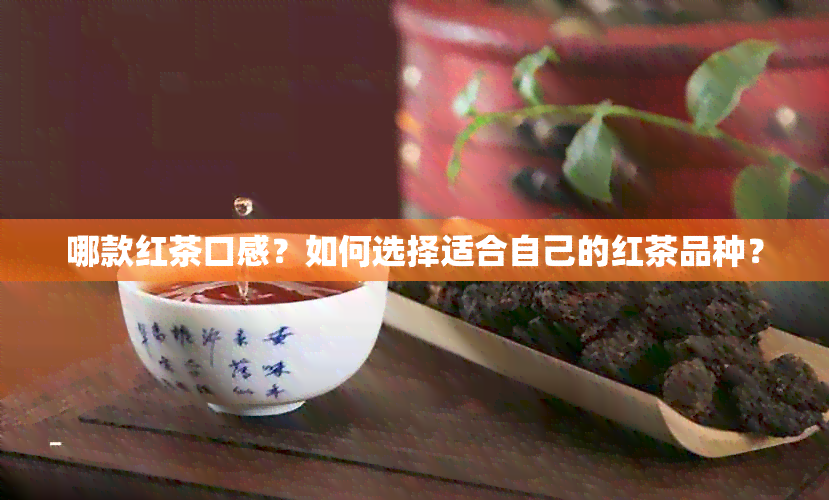 哪款红茶口感？如何选择适合自己的红茶品种？