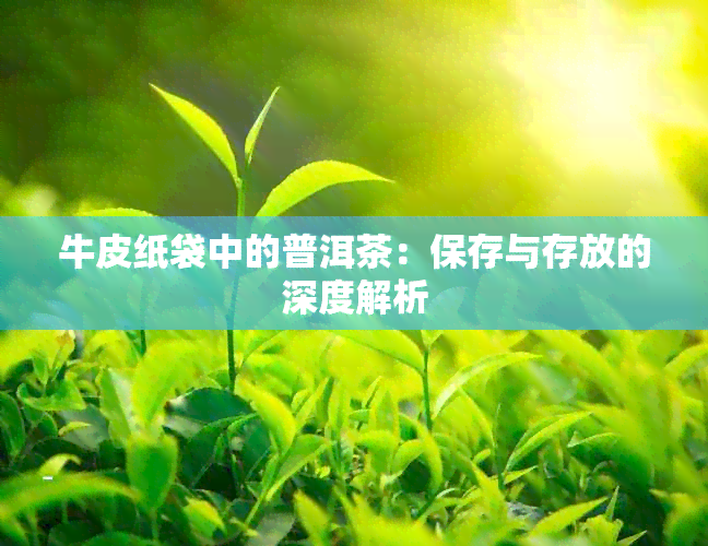 牛皮纸袋中的普洱茶：保存与存放的深度解析