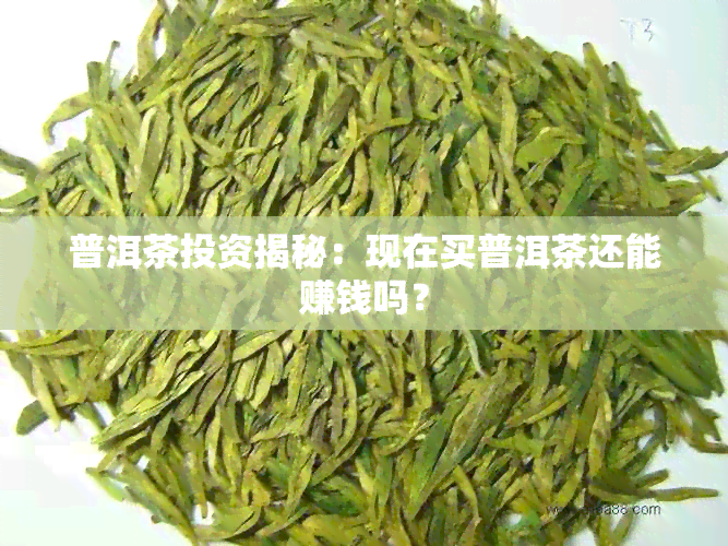 普洱茶投资揭秘：现在买普洱茶还能赚钱吗？