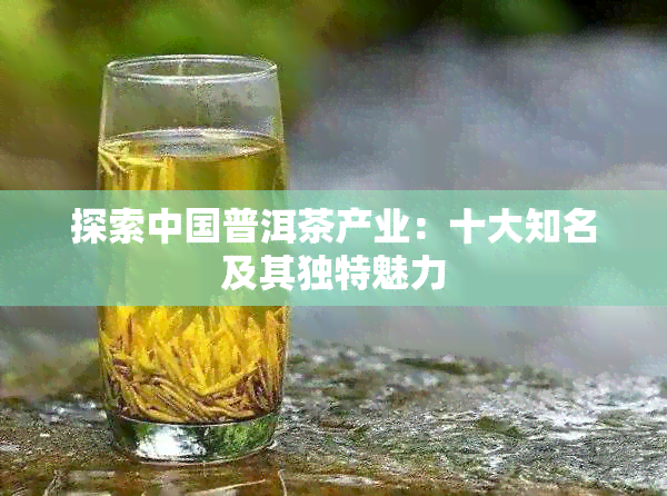 探索中国普洱茶产业：十大知名及其独特魅力