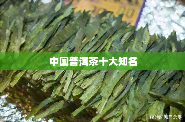 中国普洱茶十大知名