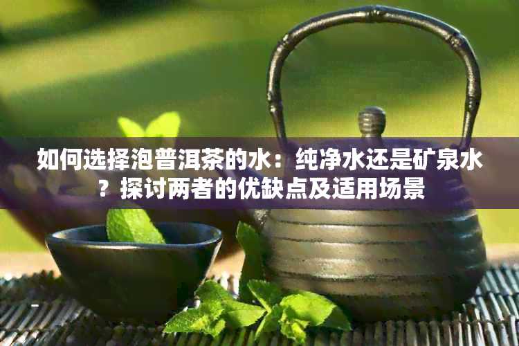 如何选择泡普洱茶的水：纯净水还是矿泉水？探讨两者的优缺点及适用场景