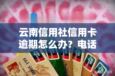 云南信用社信用卡逾期怎么办？电话、利息及逾期天数一览。