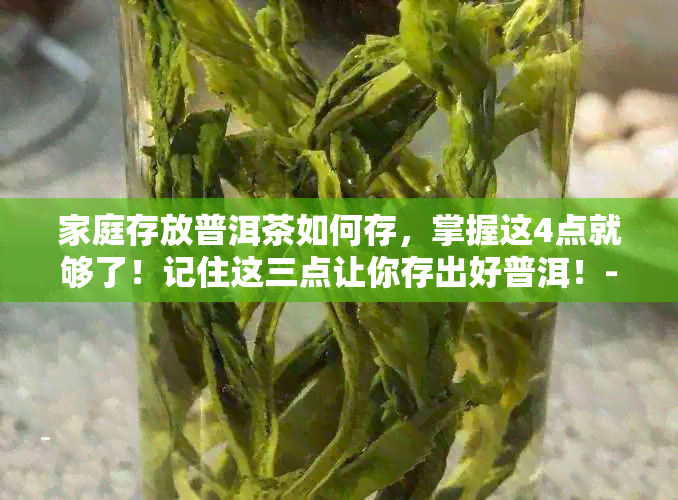 家庭存放普洱茶如何存，掌握这4点就够了！记住这三点让你存出好普洱！-