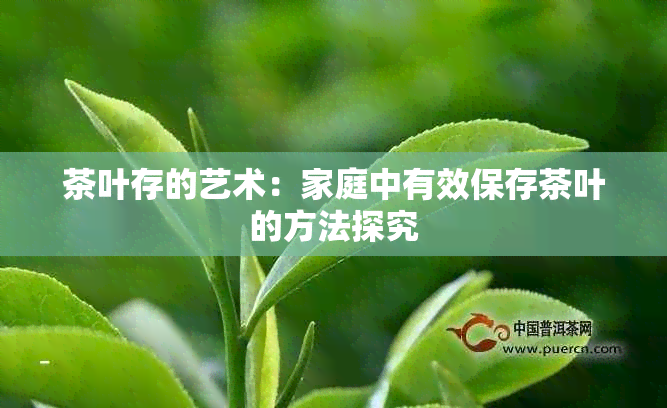 茶叶存的艺术：家庭中有效保存茶叶的方法探究