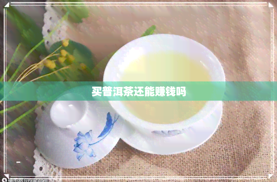 买普洱茶还能赚钱吗