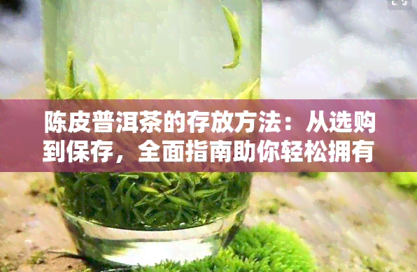 陈皮普洱茶的存放方法：从选购到保存，全面指南助你轻松拥有完美品质茶叶