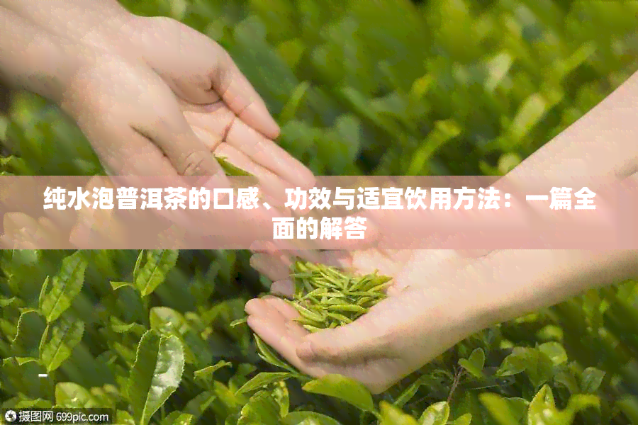 纯水泡普洱茶的口感、功效与适宜饮用方法：一篇全面的解答