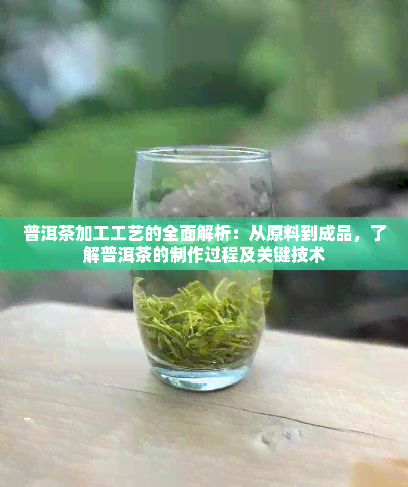 普洱茶加工工艺的全面解析：从原料到成品，了解普洱茶的制作过程及关键技术