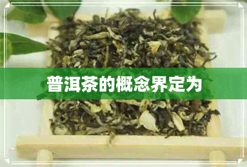 普洱茶的概念界定为