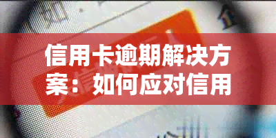 信用卡逾期解决方案：如何应对信用问题、期还款和修复？