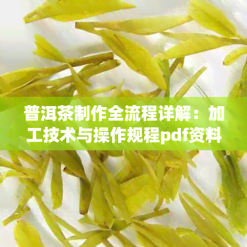 普洱茶制作全流程详解：加工技术与操作规程pdf资料汇编