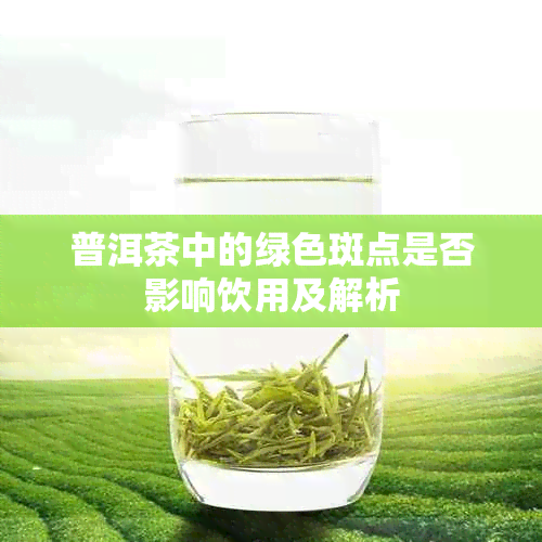 普洱茶中的绿色斑点是否影响饮用及解析