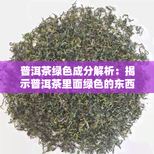 普洱茶绿色成分解析：揭示普洱茶里面绿色的东西是什么