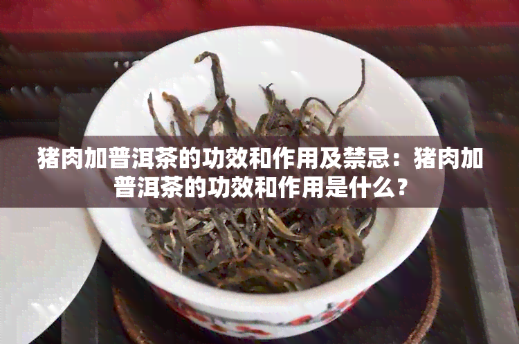 猪肉加普洱茶的功效和作用及禁忌：猪肉加普洱茶的功效和作用是什么？