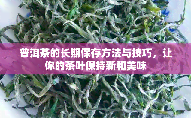 普洱茶的长期保存方法与技巧，让你的茶叶保持新和美味