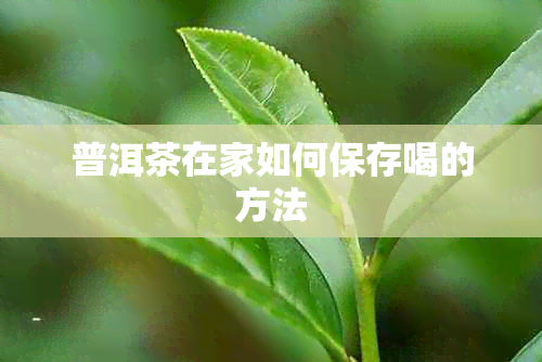 普洱茶在家如何保存喝的方法