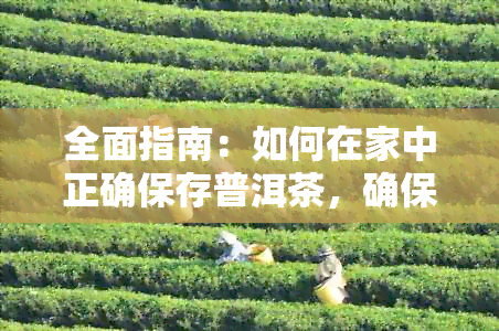 全面指南：如何在家中正确保存普洱茶，确保其品质和口感不受影响