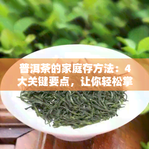 普洱茶的家庭存方法：4大关键要点，让你轻松掌握！