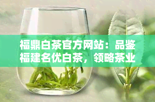 福鼎白茶官方网站：品鉴福建名优白茶，领略茶业之美