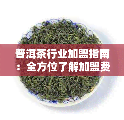 普洱茶行业加盟指南：全方位了解加盟费、电话和条件等关键信息