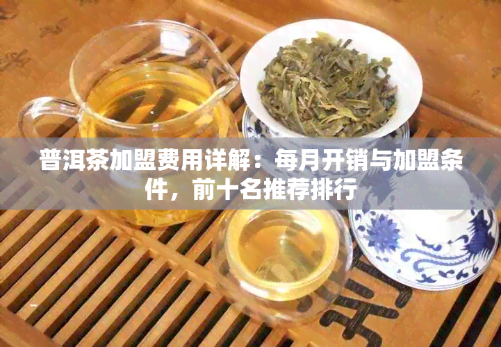 普洱茶加盟费用详解：每月开销与加盟条件，前十名推荐排行