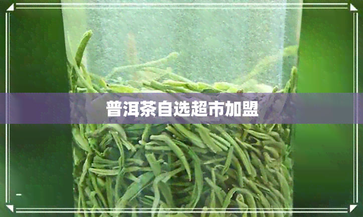 普洱茶自选超市加盟