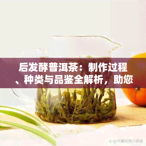 后发酵普洱茶：制作过程、种类与品鉴全解析，助您深入了解这一独特茶叶