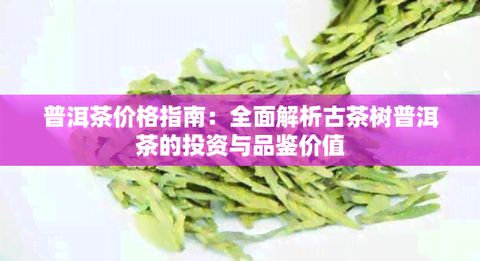 普洱茶价格指南：全面解析古茶树普洱茶的投资与品鉴价值