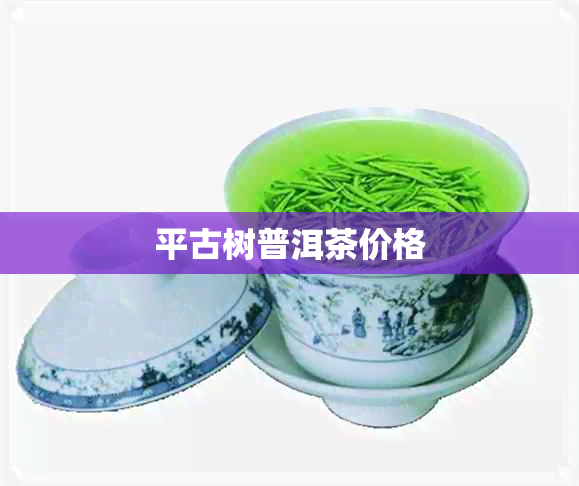 平古树普洱茶价格