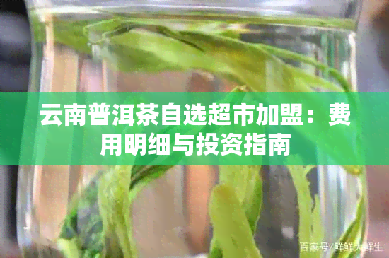 云南普洱茶自选超市加盟：费用明细与投资指南