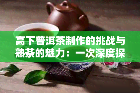 高下普洱茶制作的挑战与熟茶的魅力：一次深度探究