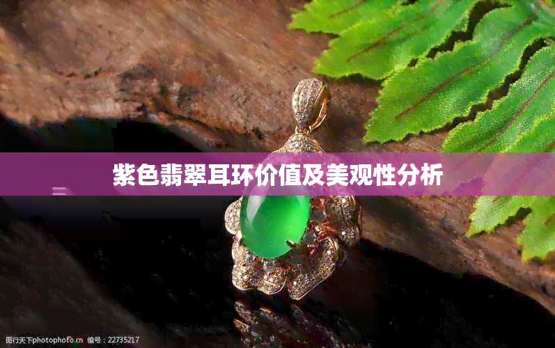 紫色翡翠耳环价值及美观性分析