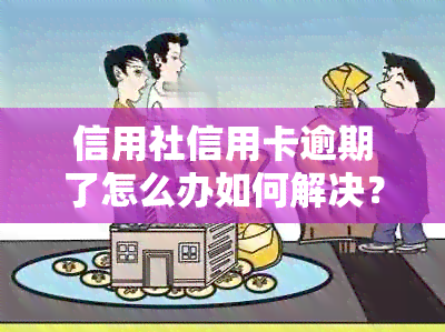 信用社信用卡逾期了怎么办如何解决？逾期几天会上？最新政策是什么？