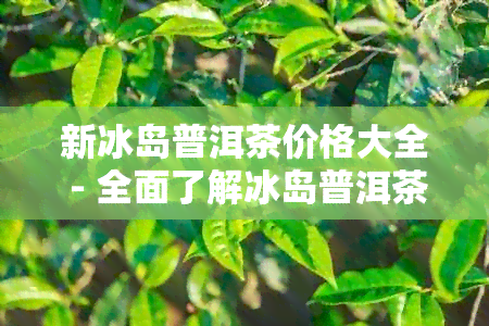 新冰岛普洱茶价格大全 - 全面了解冰岛普洱茶的购买指南与市场行情