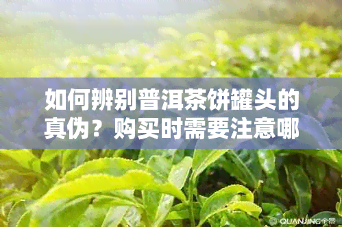 如何辨别普洱茶饼罐头的真伪？购买时需要注意哪些因素？