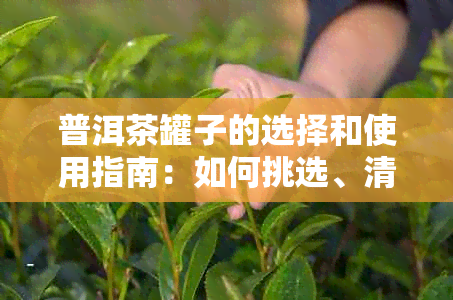 普洱茶罐子的选择和使用指南：如何挑选、清洗和保存您的茶叶