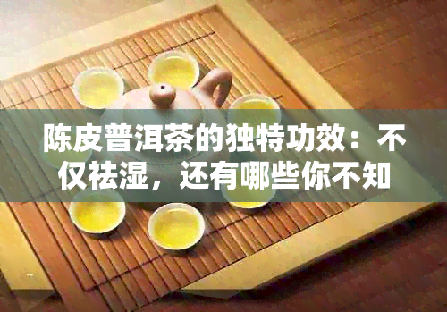 陈皮普洱茶的独特功效：不仅祛湿，还有哪些你不知道的秘密？