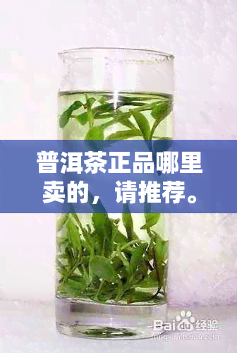 普洱茶正品哪里卖的，请推荐。