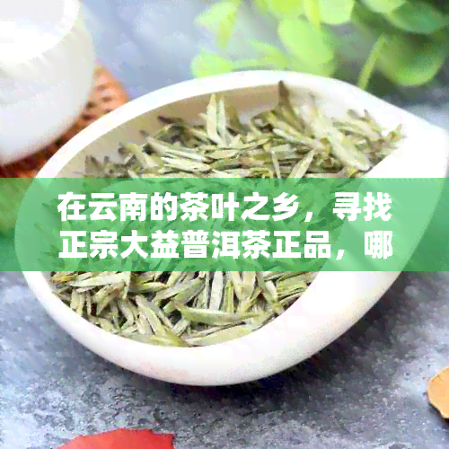 在云南的茶叶之乡，寻找正宗大益普洱茶正品，哪里购买更可靠？