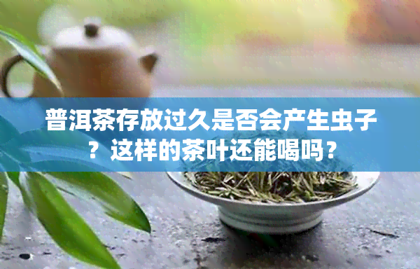 普洱茶存放过久是否会产生虫子？这样的茶叶还能喝吗？