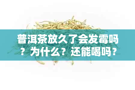 普洱茶放久了会发霉吗？为什么？还能喝吗？普洱茶如何存以防止发霉？