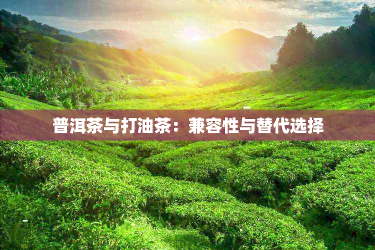 普洱茶与打油茶：兼容性与替代选择